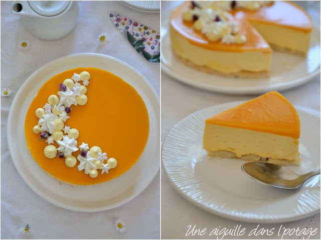 Entremets mousse abricot