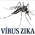 FIQUE SABENDO! / EUA alertam gestantes para evitar ida ao Brasil e países expostos ao zika