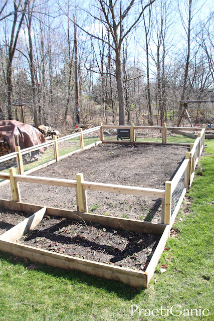 Raised Garden Beds or Traditional Garden Beds