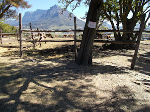 View of "Devil's Peak" and Table Mountain from "Oude Molen Village".