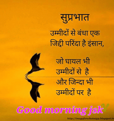 Good Morning Have a Nice Day Friends