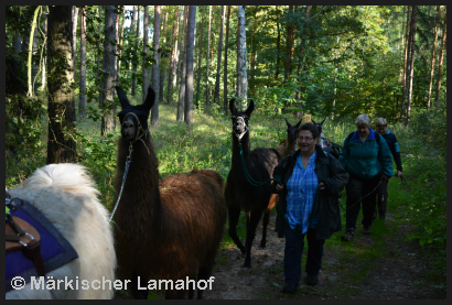 Lama-Trekkingtour2013