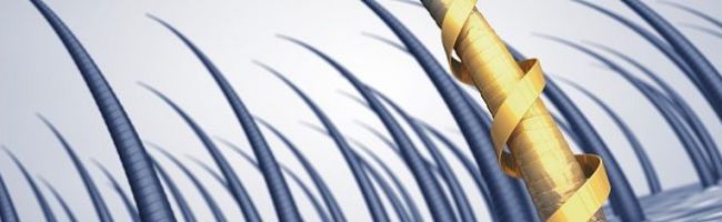 وصفات طبيعية لتقوية جذور الشعر