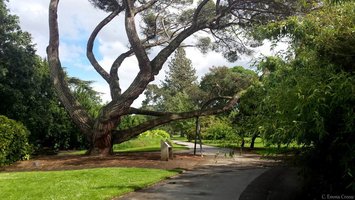 Kew Gardens, Plantasia a botanical lift for the urban senses