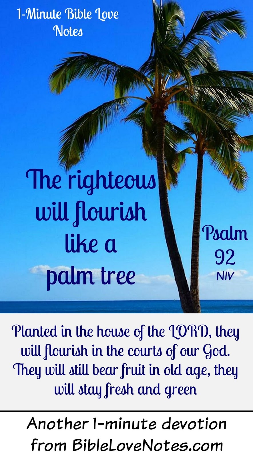 1Minute Bible Love Notes Fruitful Palms