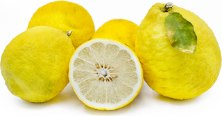 jeruk lemon ponderosa