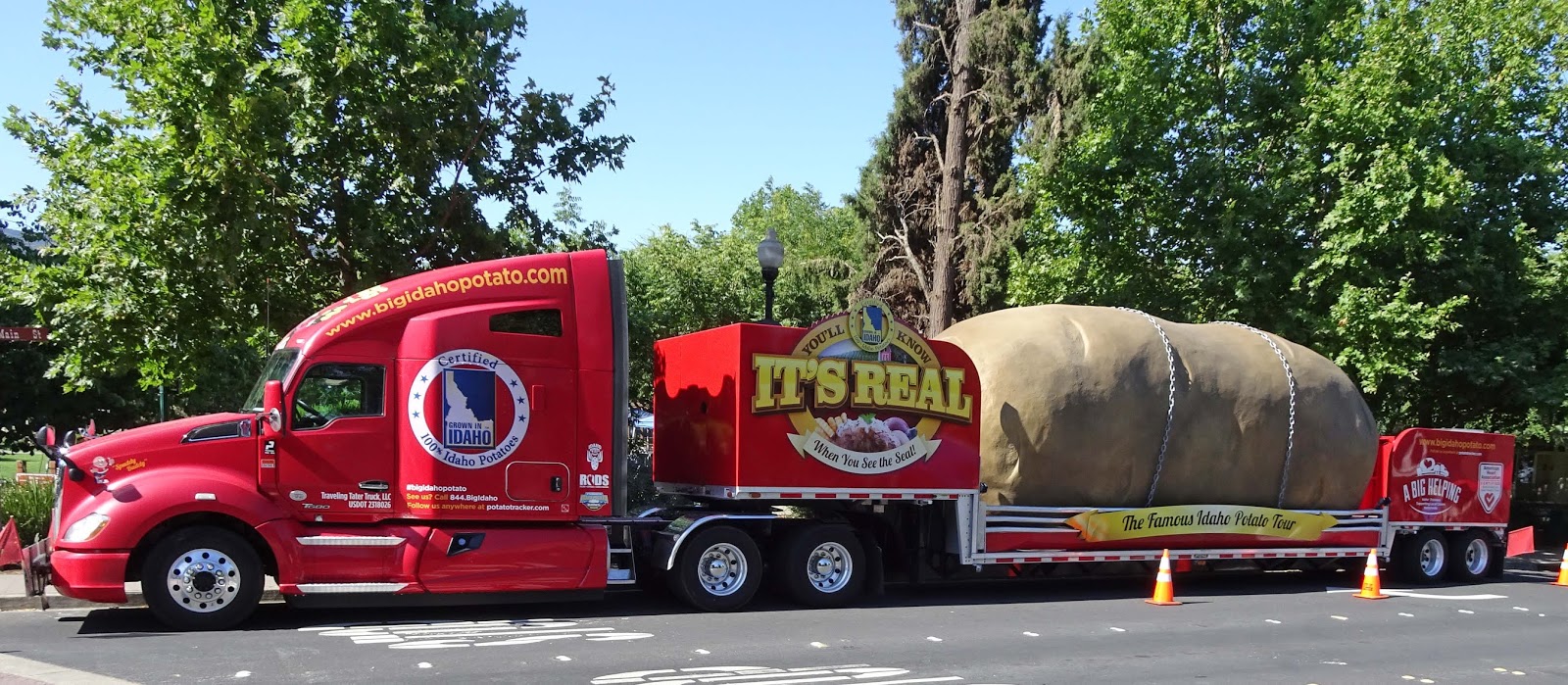 MAD MEAT GENIUS CLAYTON BBQ COOK OFF