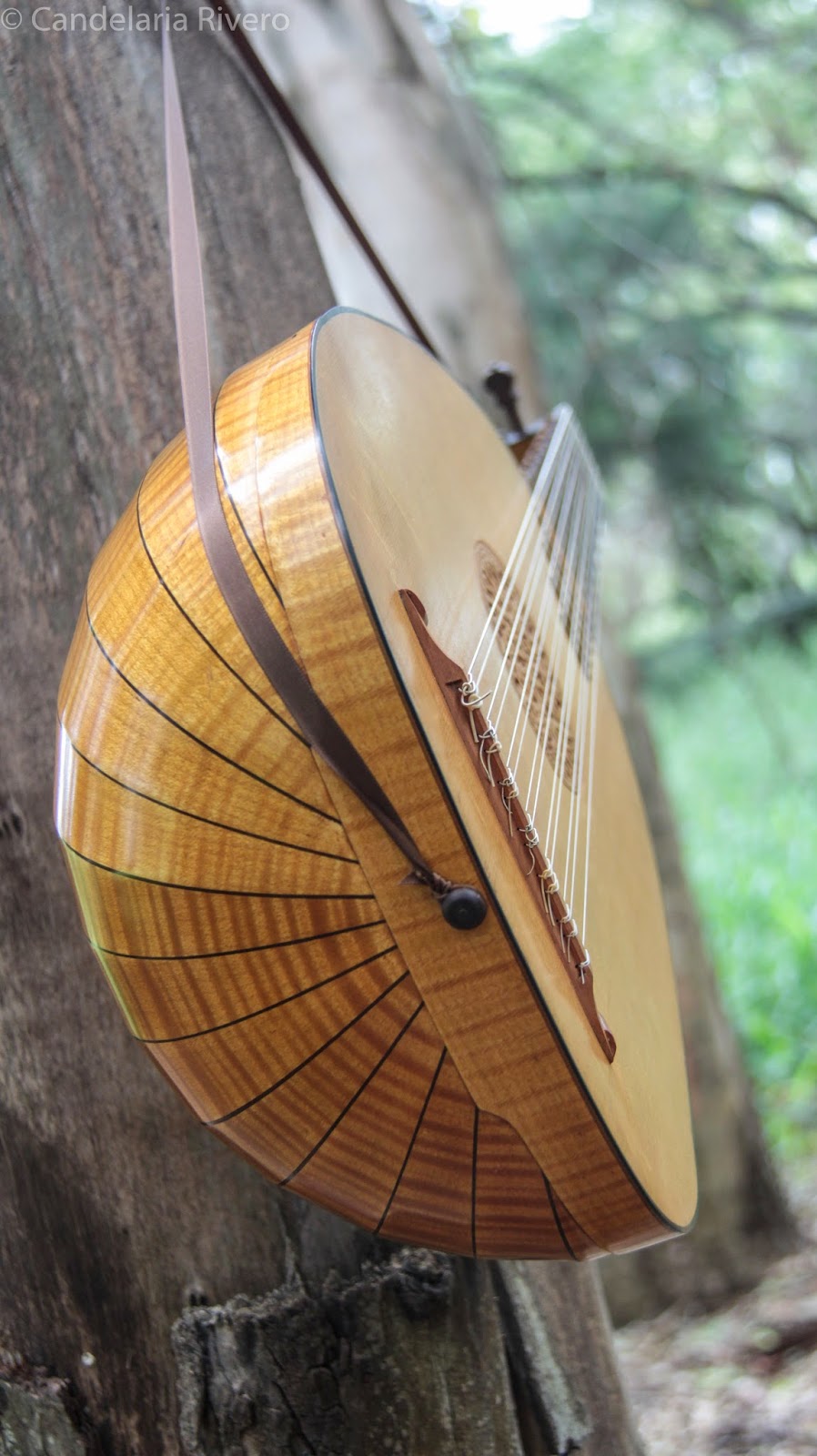 Laudd Instrument Facundo Bordas Luthier Instrumentos Antiguos : Laúd de siete ordenes