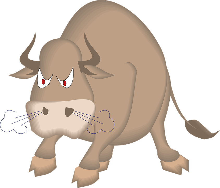 Everyday Idioms!!!: A Bull in a China Shop