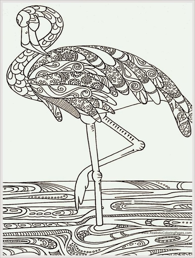 Heron Bird Adult Coloring Pages Free | Realistic Coloring Pages