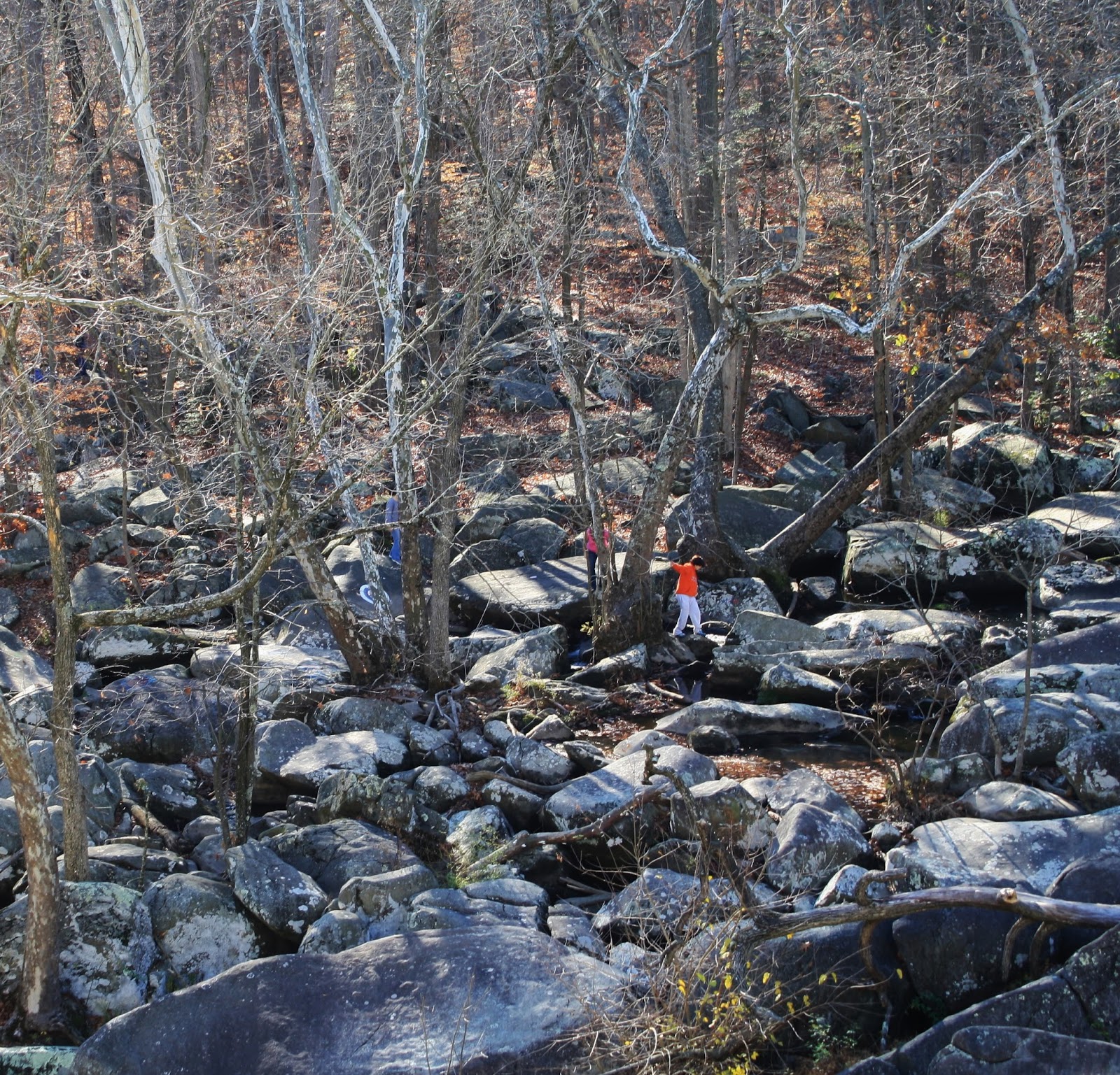 french creek state park bike trails