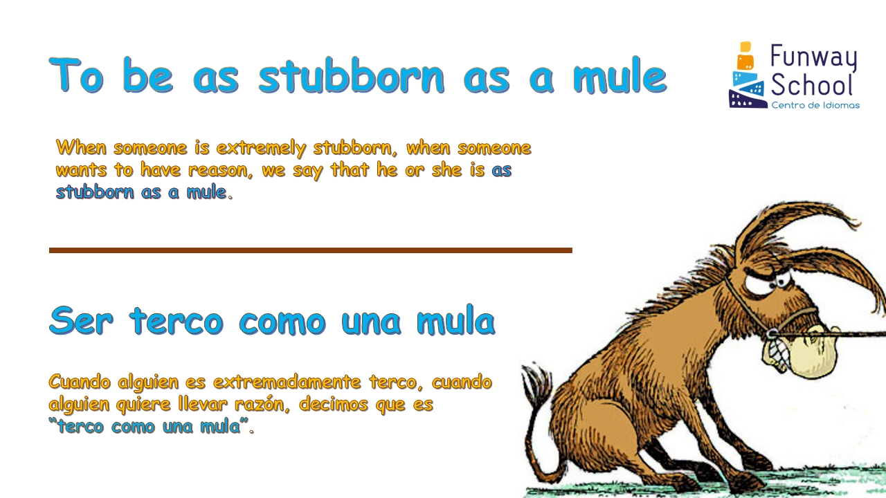 Mule перевод с английского на русский. Mule перевод с английского на русский. мул и ишак разница. Donkey с транскрипцией и переводом. The difference between donkey and mule.