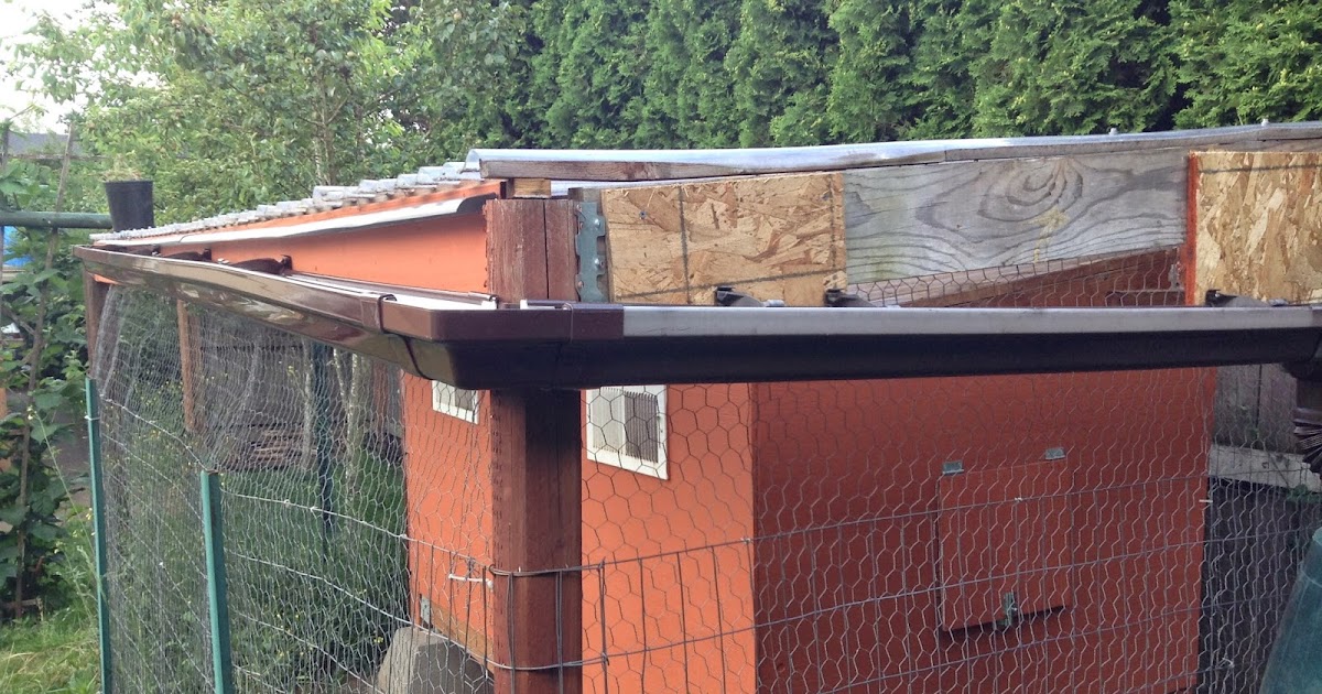 Ultimate Chicken Coop Gutter Ideas Keeping Your Coop Clean and Dry