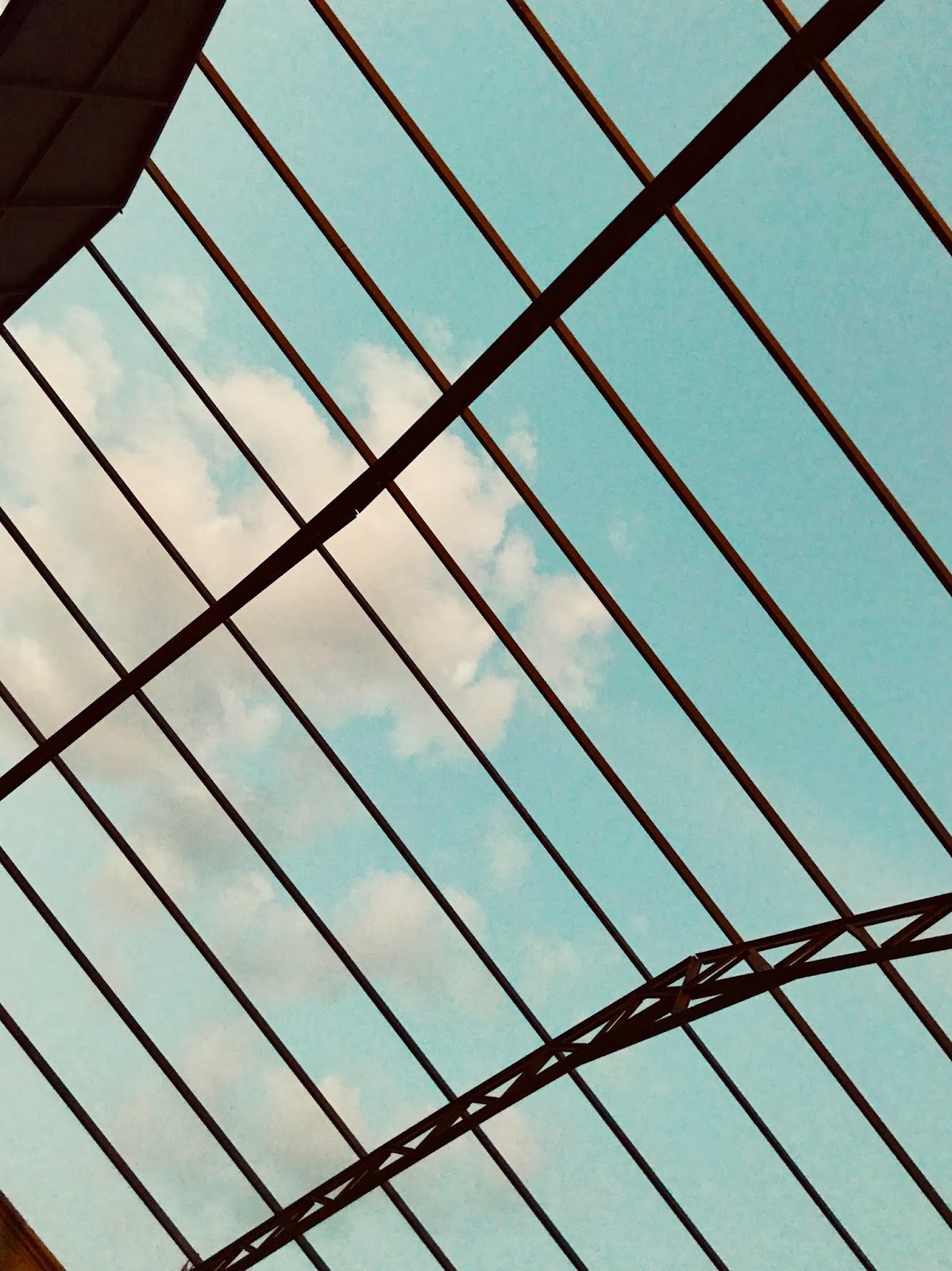 Neden Mutlu Degiliz Kekeme Cocuklar Korosu Tarik Tufan