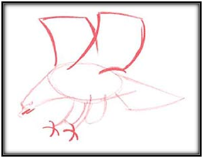 Mari Menggambar Burung Elang Seni Rupa