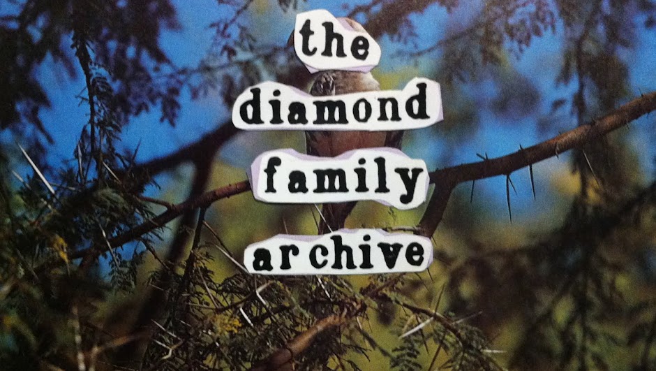 The Diamond Family Archive