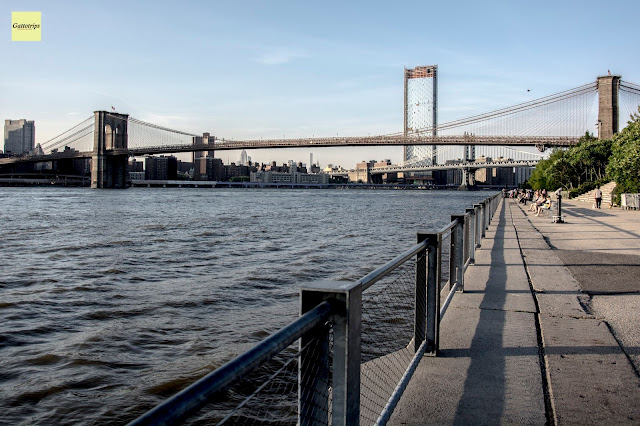 El puente de Brooklyn y el Parque DUMBO - American Cat - USA East Coast (6)