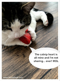 Melvyn and the catnip heart @BionicBasil® 8 Things About...