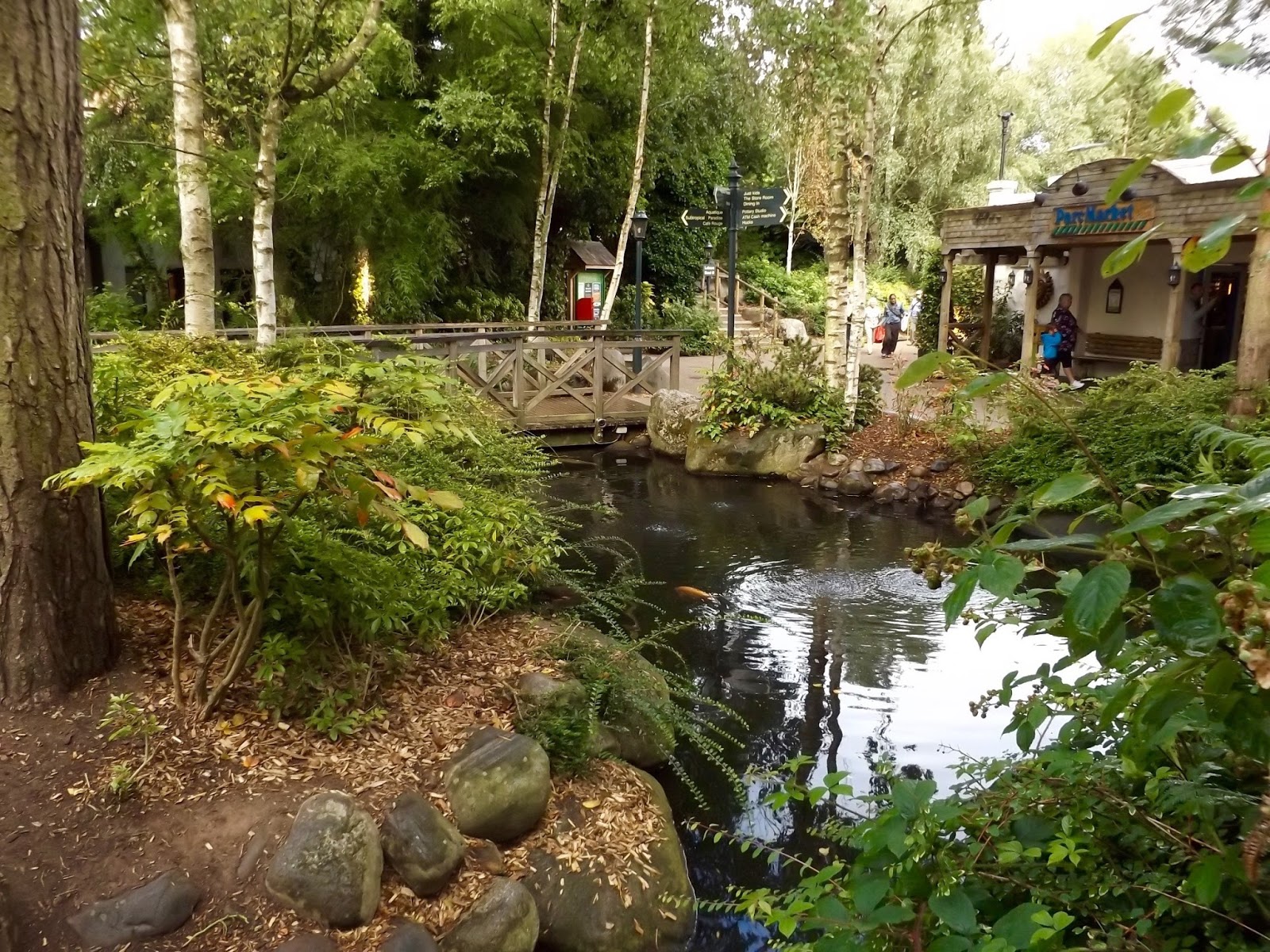 Sherwood forest center parcs. Sherwood forest activity holiday. Sherwood forest activity holiday. шервудский лес на карте. Sherwood forest center parcs.