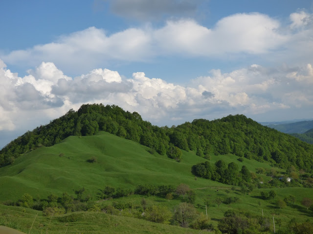 Dealuri Bisoca Buzau Romania Padure