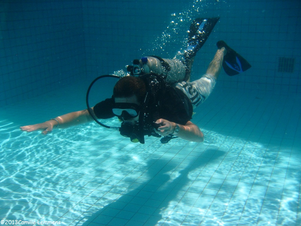 Padi Diving And Instructor Development Idc Around