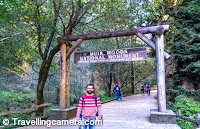 This was my 7th visit to San Francisco area and almost every time, I thought of visiting Muir Woods but couldn’t plan. Thanks Jacek, who planned weekend visit to Muir Woods along with a small hike to Mount Tamalpais. After beautiful drive around Mt Tamalpais and quick hike, we headed towards Muir Woods National Monument. This post shares about our experience, some extremely important tips and what do avoid if you want to make best of your visit. 