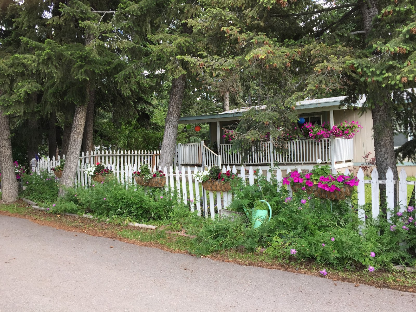 BLUE SKY AHEAD Jim & Mary's RV Park, Missoula, MT