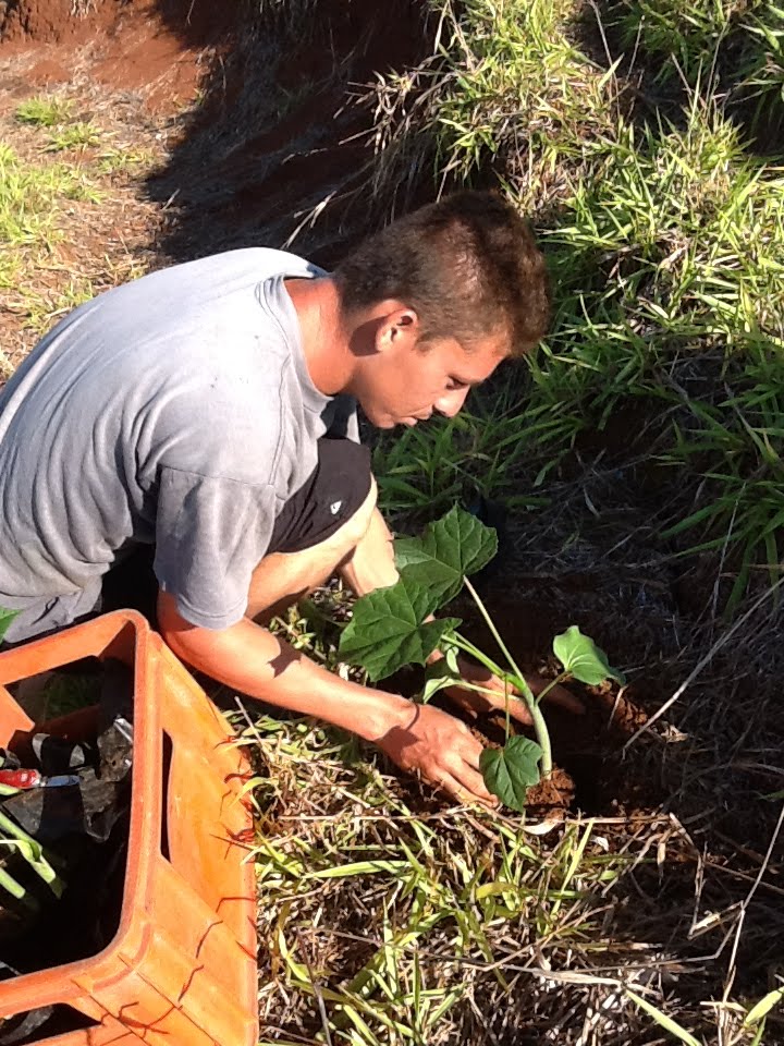 Costa Rica Invest Jatropha planting in NatureWalk