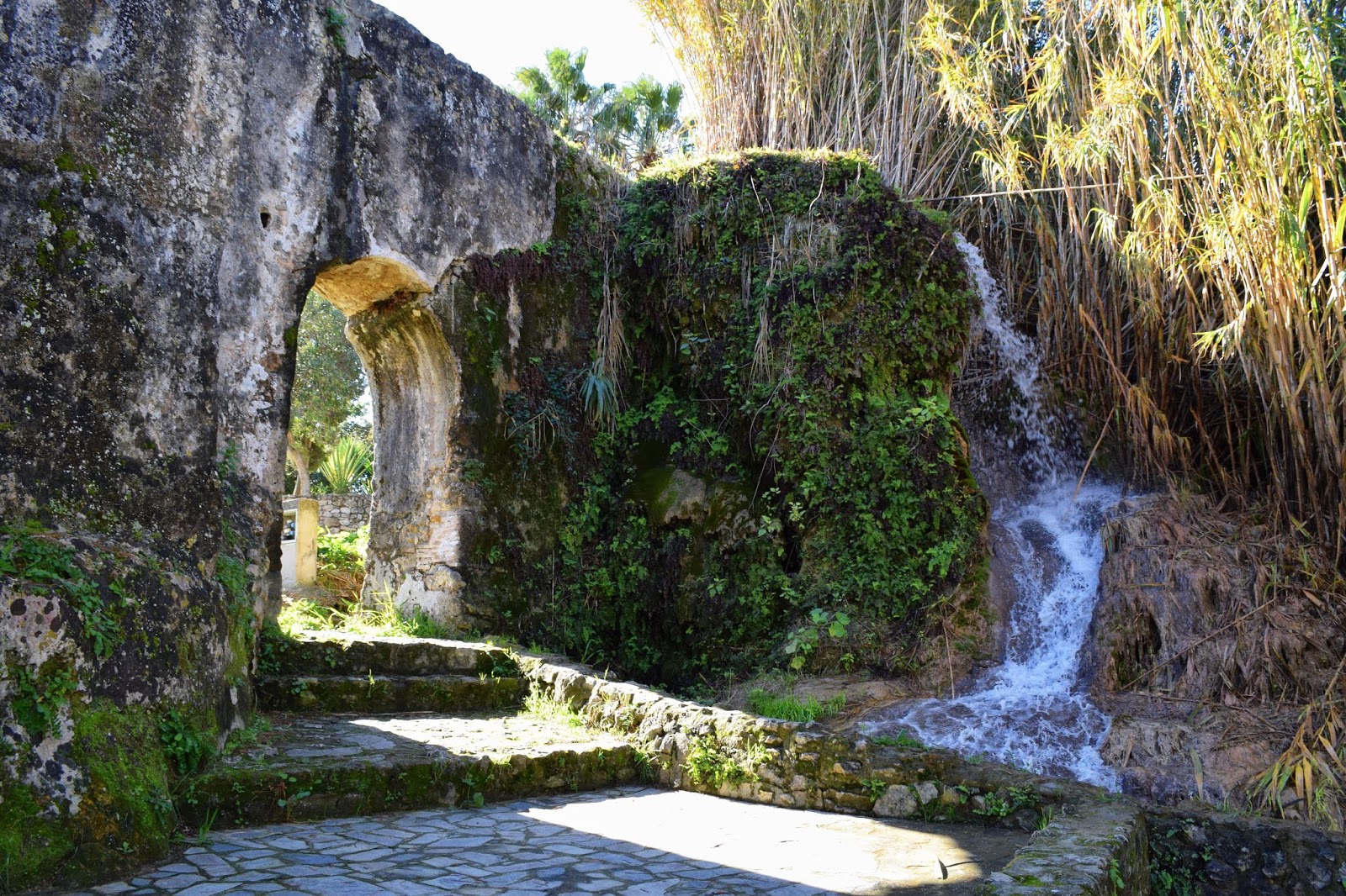 Sendero Molinos de Agua en Vejer de la Frontera - Un Destino Entre Mis