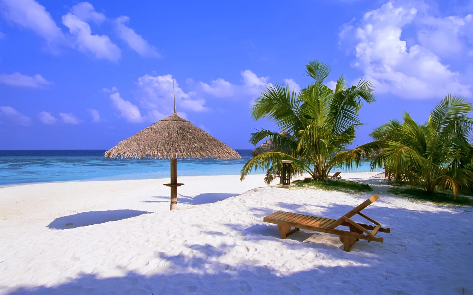 Palms View HD Wallpapers Palms View HD Wallpapers