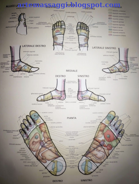 mappa riflessologia plantare sui punti corrispondenti dei piedi