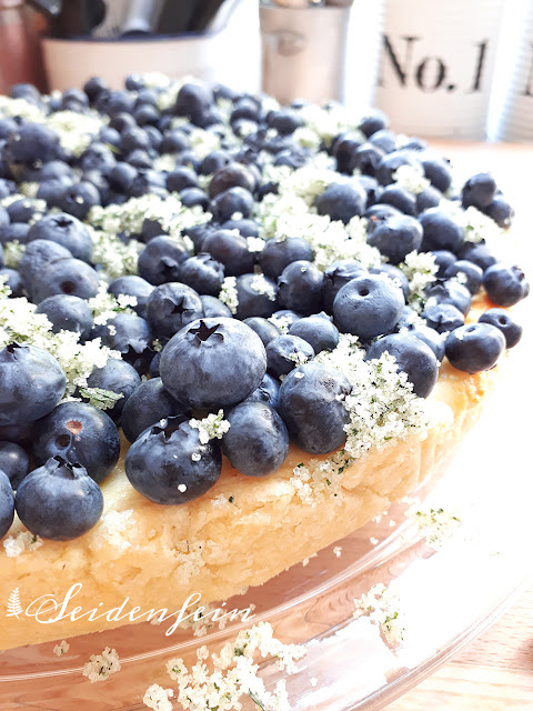 Blueberry Cheesecake mit Minze ! Ein frischer Sommerkuchen * recipe * Minty Blueberry Cheesecake