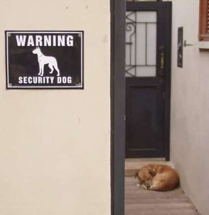 http://2.bp.blogspot.com/-RVJxtEVNV08/ToNSGlsXeqI/AAAAAAAABJE/llqHli9diUo/s640/funny+dog+warning+sign.jpg