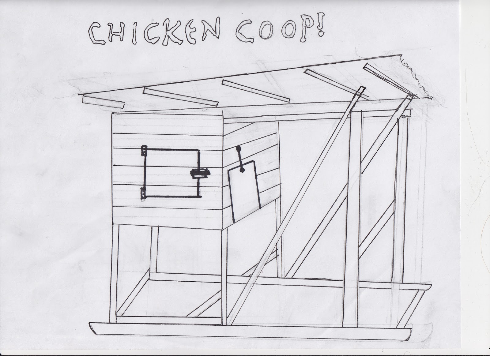 At Coco's Corner Chicken coop requirements!