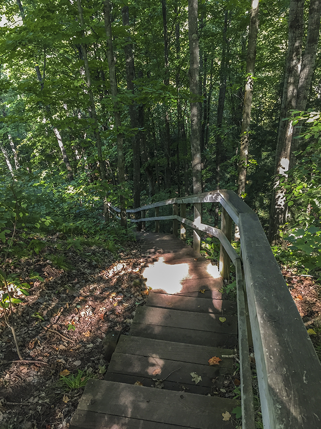 Stairs to the lower Potato River Falls