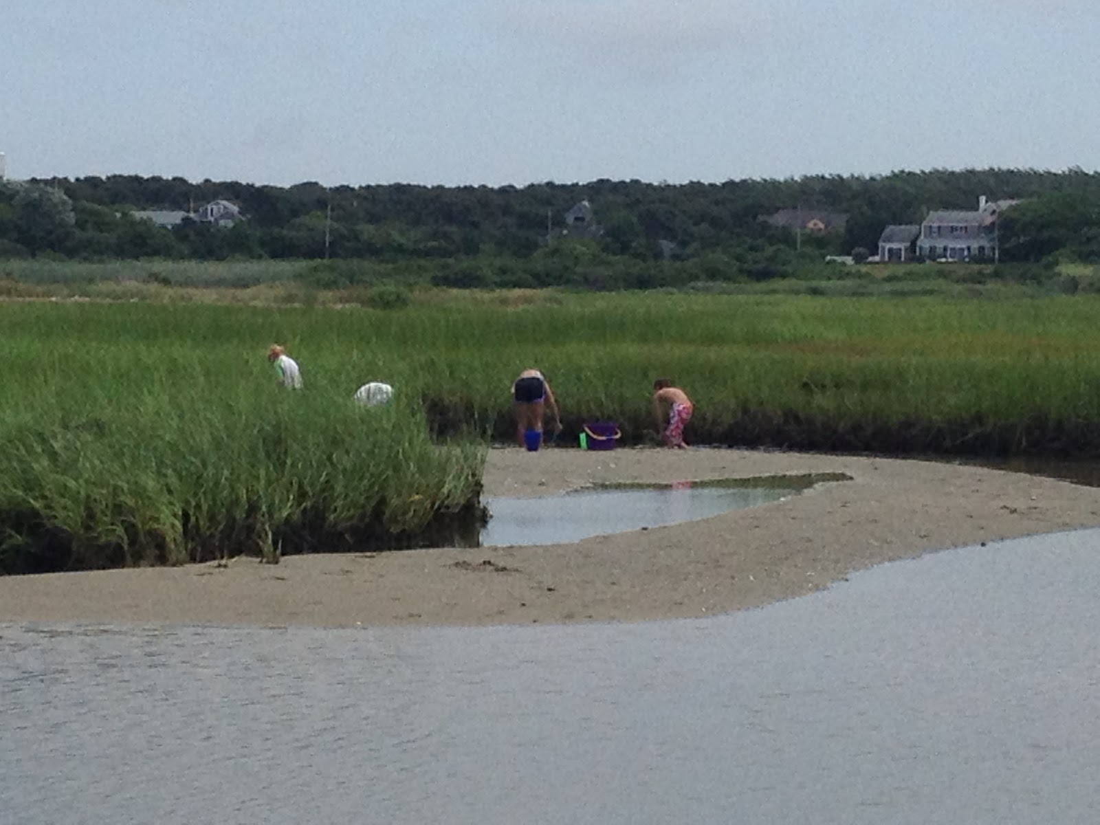 Tickled Pink Talk: The cloudy day activities continue