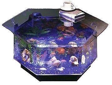artistic fish tank ideas