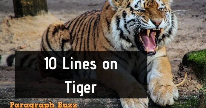 5 lines on tiger for class 2 image