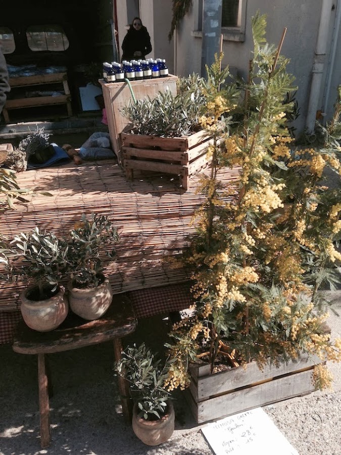 saint remy de provence