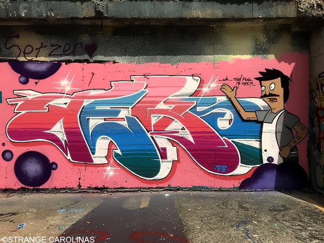 The Pit Murals High Point Nc Strange Carolinas The