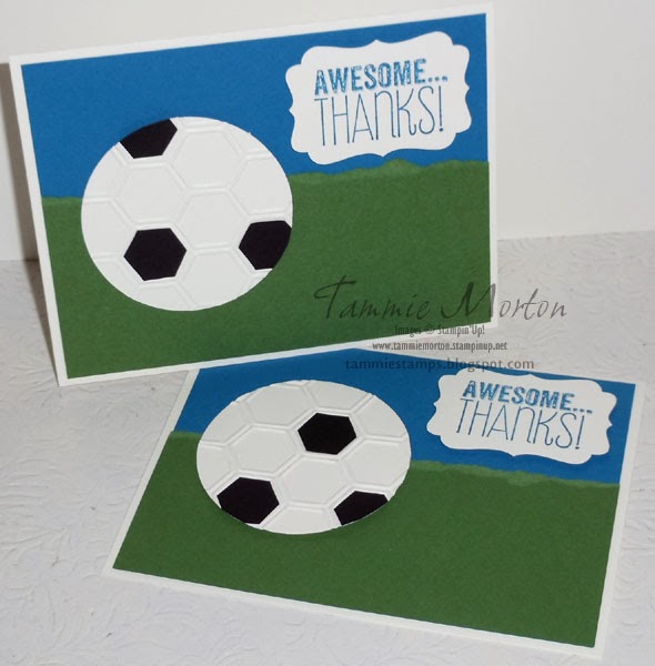 Tammie Stamps Soccer cards