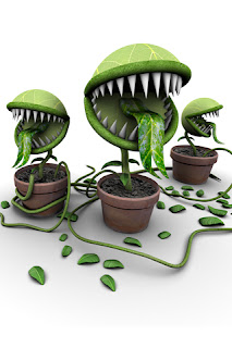 iphone wallpaper background