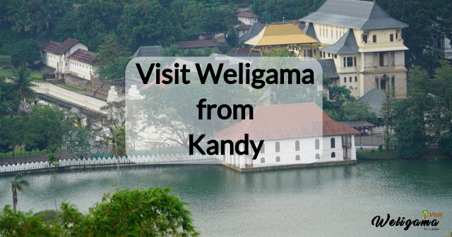How to visit Weligama from Kandy