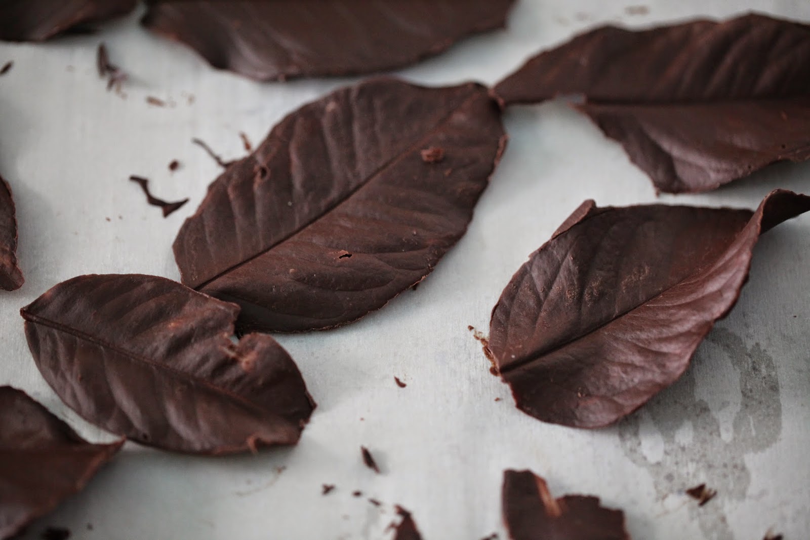Salvation Sisters How To Make Chocolate Leaves for Dessert Garnishing