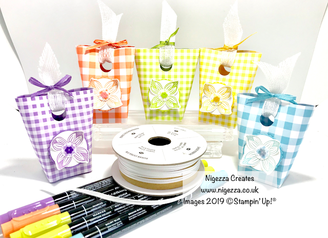 Stampin' Up! Gingham Gala Mini Gift Bag Nigezza Creates