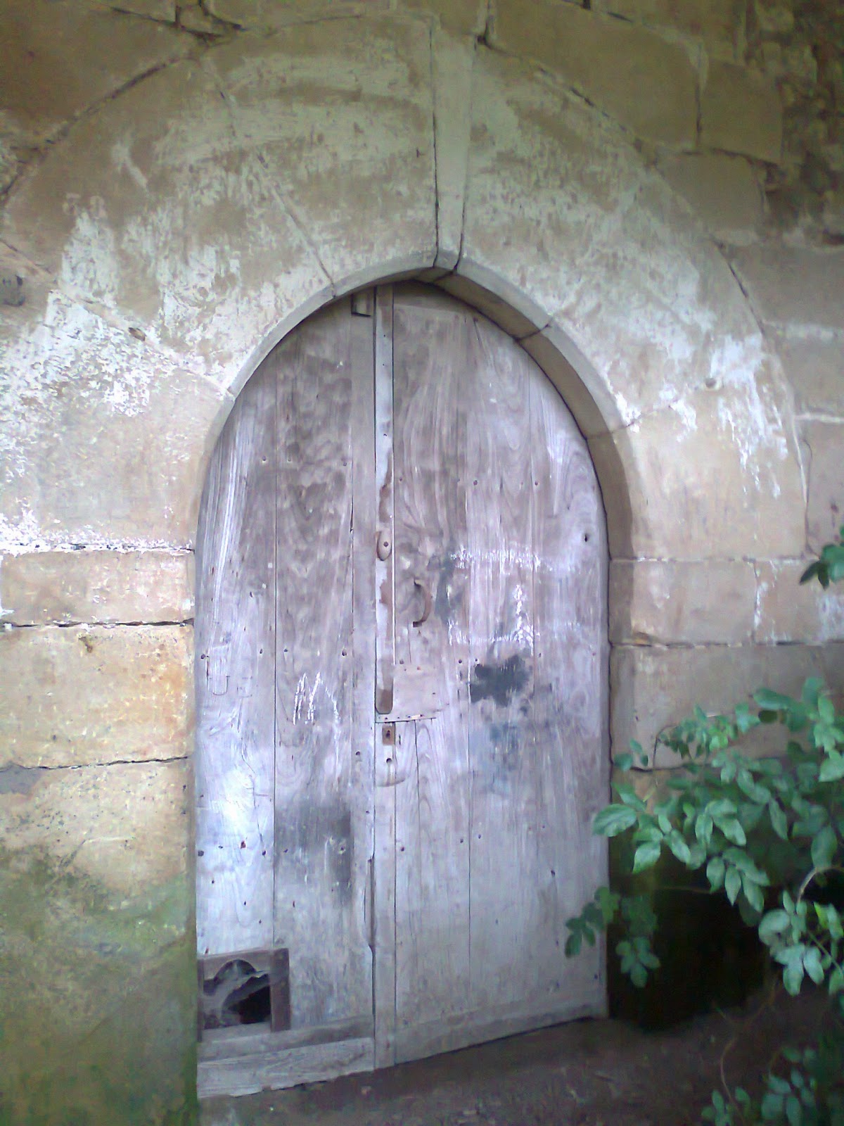 El Robledal de Todos: Una puerta