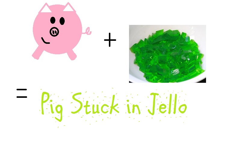 Pig Stuck in Jello