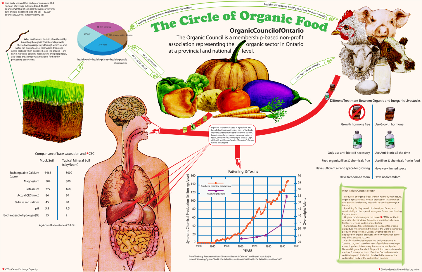 Sustai infoillus of organic food