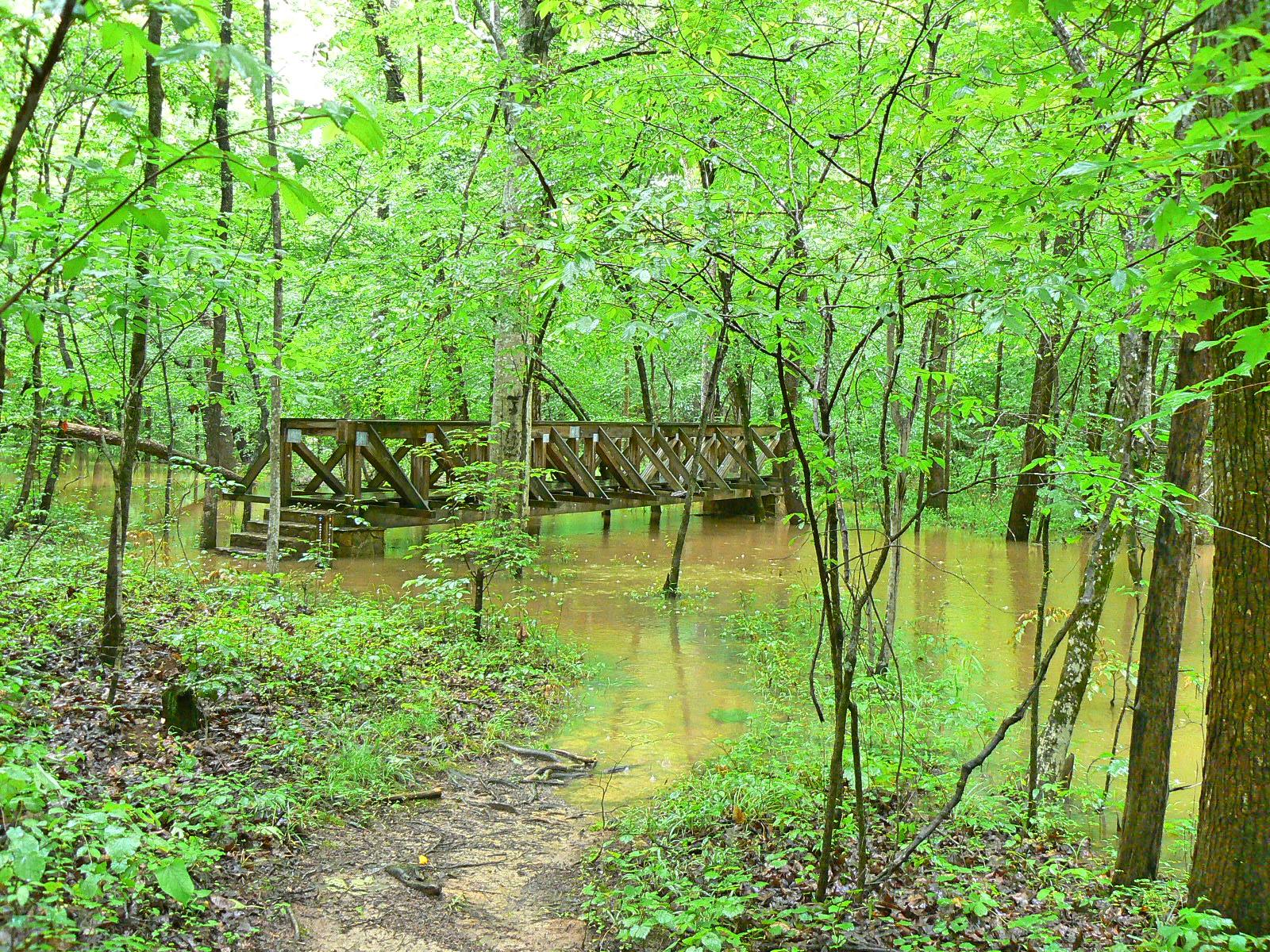 Shallow Ford Natural Area
