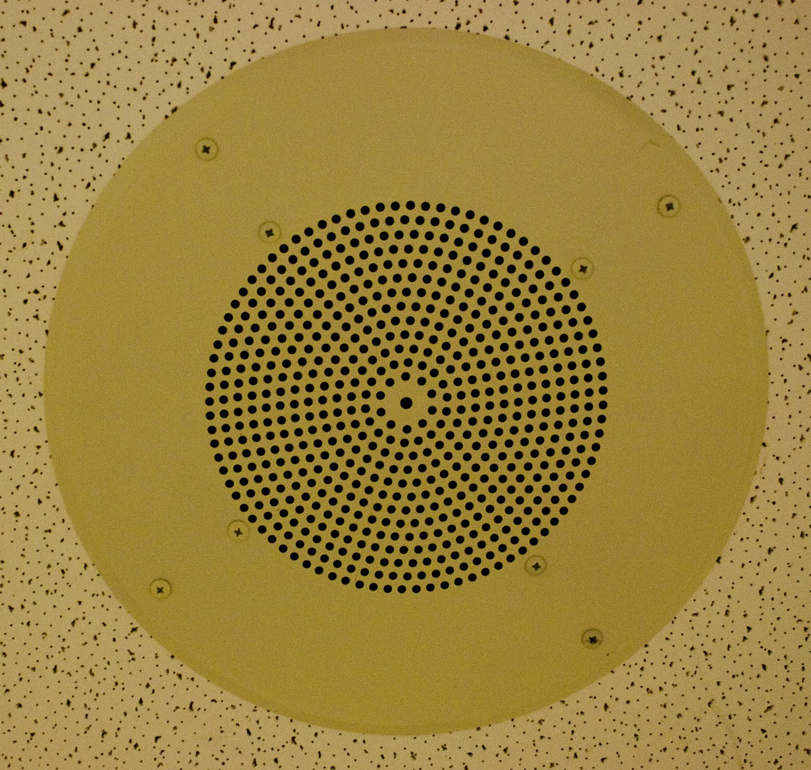 Ashley Speer: Finding Letters in Everyday Objects